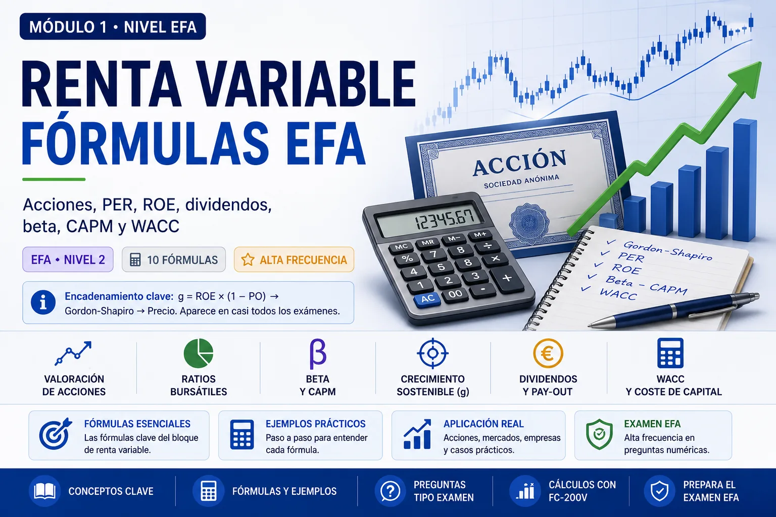Renta variable fórmulas EFA: acciones, PER, ROE, dividendos, beta, CAPM y WACC